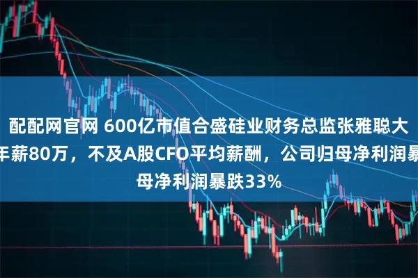 配配网官网 600亿市值合盛硅业财务总监张雅聪大专学历年薪80万,不及A股CFO平均薪酬,公司归母净利润暴跌33%
