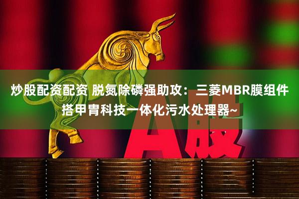 炒股配资配资 脱氮除磷强助攻：三菱MBR膜组件搭甲胄科技一体化污水处理器~